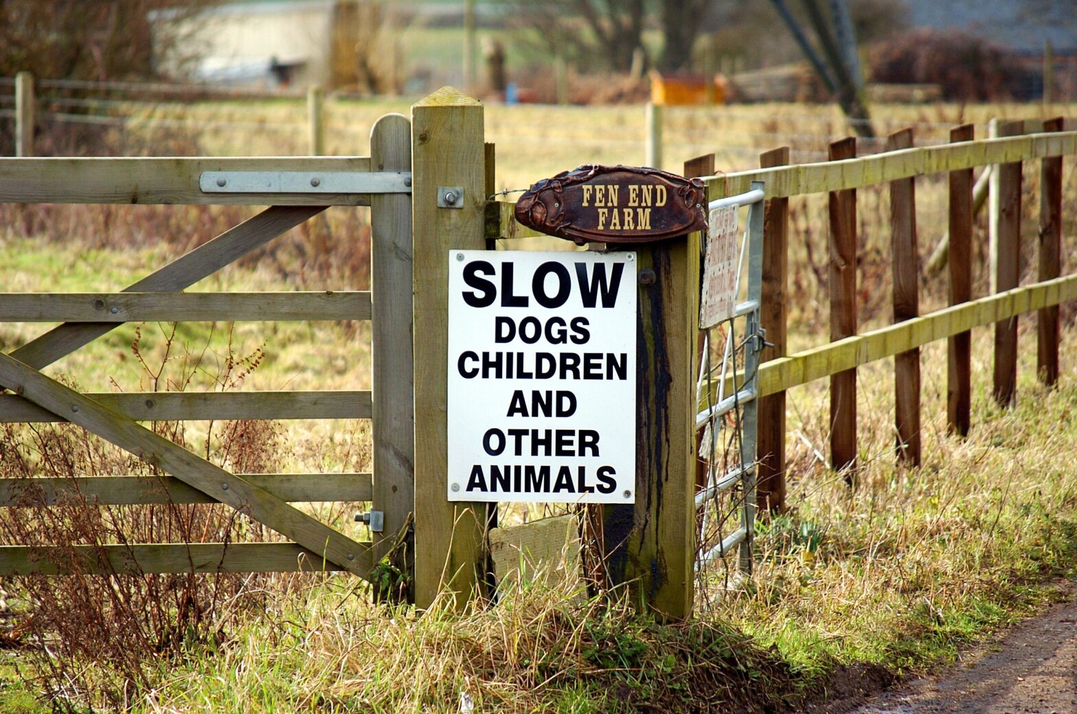 Unraveling the Meaning of a Bewildering Sign: Slow Motion Conundrum