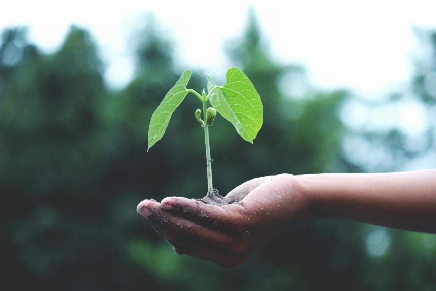 personal growth…